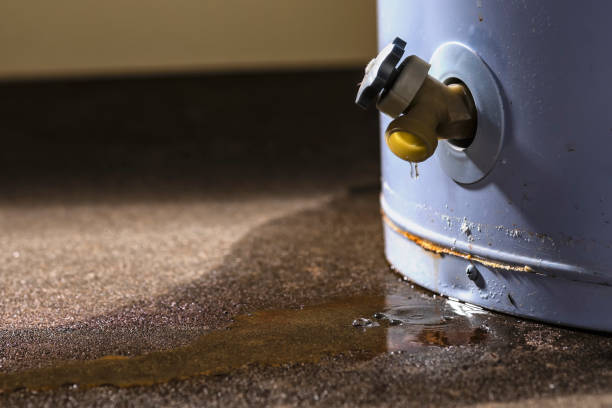 Best Water damage contractors near me  in Roselle Park, NJ