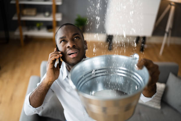 Best Water damage cleanup near me  in Roselle Park, NJ