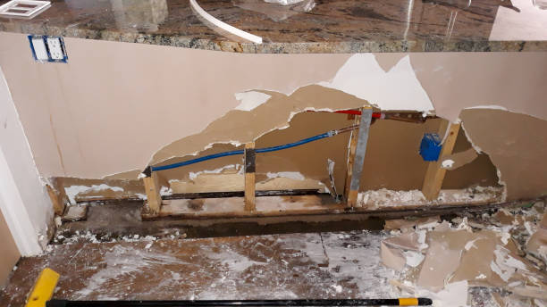 Best Emergency water damage restoration  in Roselle Park, NJ