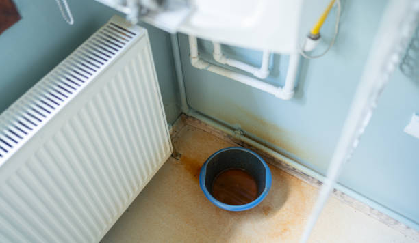 Best Water damage restoration experts  in Roselle Park, NJ