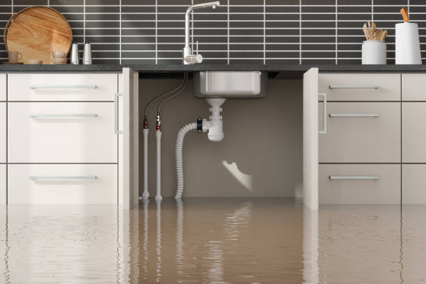 Best Ceiling water damage repair  in Roselle Park, NJ