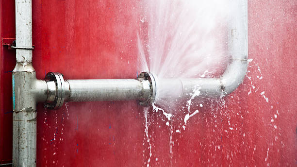Best Residential water damage restoration  in Roselle Park, NJ
